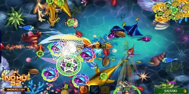 Cá đơn lẻ không đem về tiền thưởng lớn cho anh em